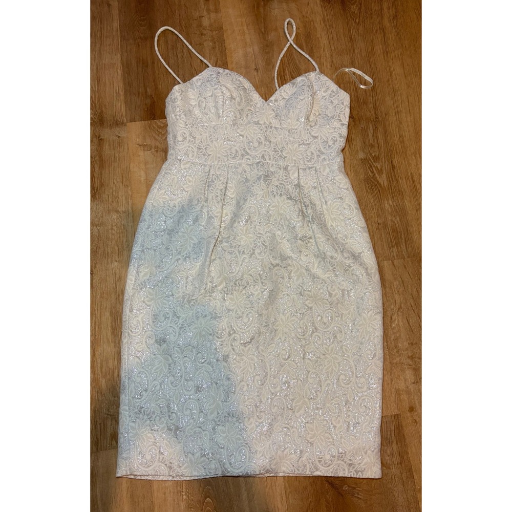 Bcbg Exotic Frosted Cream & Moonlight Silver Event Dress~Size‎ 6